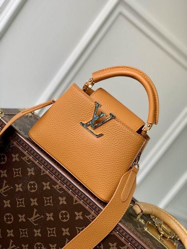 LV Handbags 111